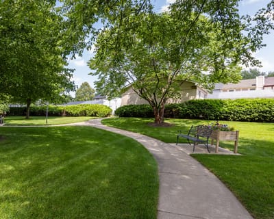 Winding path through a landscaped garden area