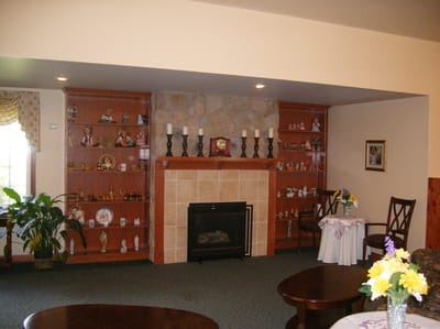 Cozy common area with shelves and fireplace