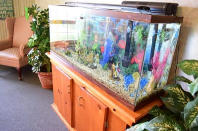 A colorful aquarium in a community common area