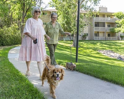Brookdale South Bay, nursing home in Torrance, CA — Residents walking dogs along a sidewalk in a park