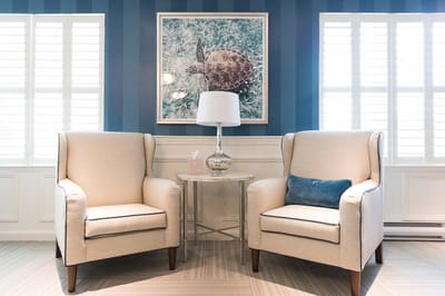 Cozy seating area with two chairs and turtle artwork
