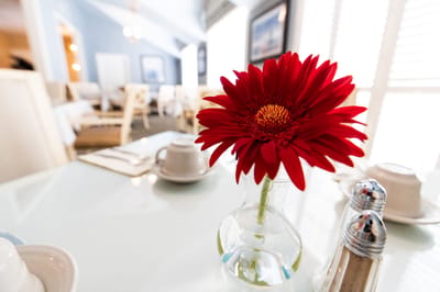 Close-up of a red flower on a dining table
