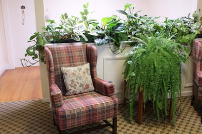 Cozy seating area with plants in the background