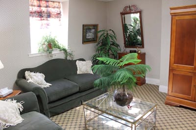 Cozy living room with plants and furniture