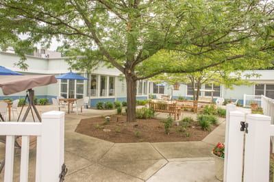 Outdoor garden area with seating and trees