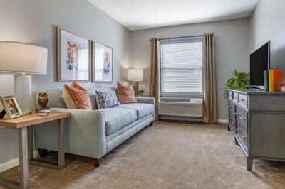 Cozy living room area with a sofa and decor