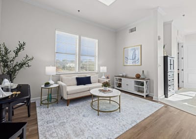 Bright and modern living room with furniture