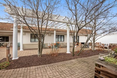 Outdoor seating area with trees and a pergola