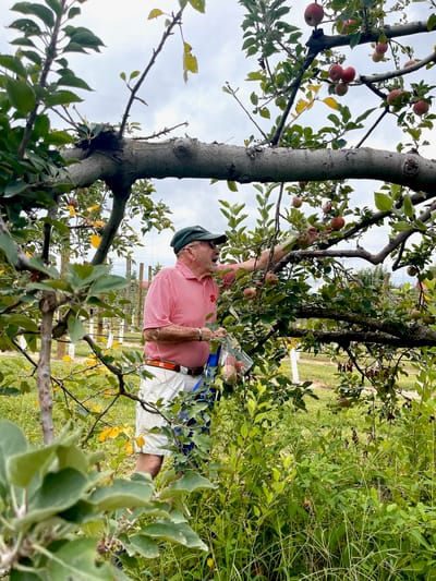 Resident picking apples in an orchard.