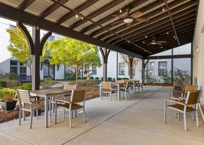 Outdoor seating area surrounded by green plants