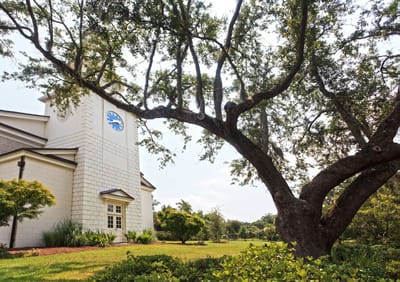 Exterior view of the building surrounded by trees and lawn