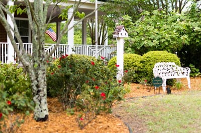 Beautiful outdoor garden area with a bench and birdhouse