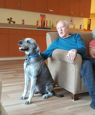 A resident enjoying time with a dog in a cozy lounge