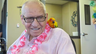 Resident with a parrot in a colorful setting