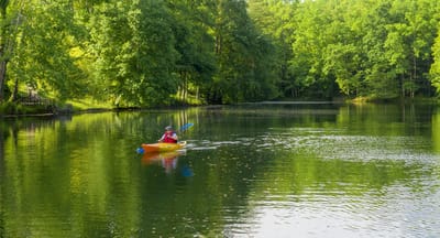 A resident kayaking on a serene lake surrounded by greenery