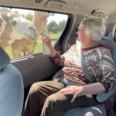 Resident interacting with a camel at a petting zoo