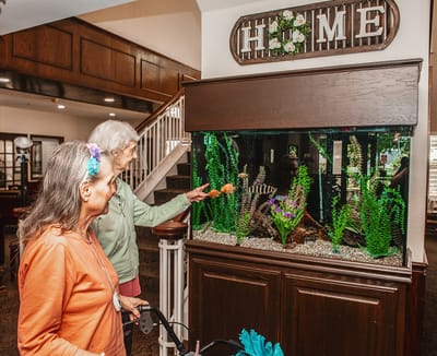 Two residents interacting with an aquarium in the common area