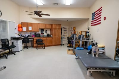 Interior rehabilitation room with a dog and equipment