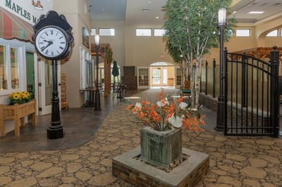 Interior view of a cozy common area with decorative plants