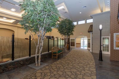 Interior corridor with plants and seating area