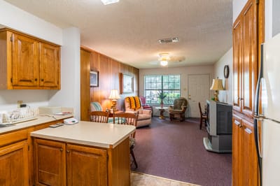 Cozy living room area with kitchenette and seating