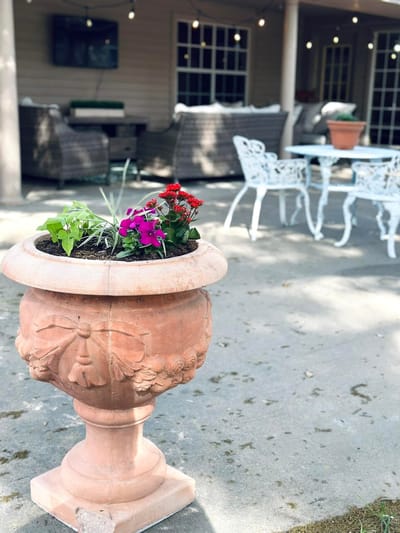 Outdoor space with flower planter and seating area