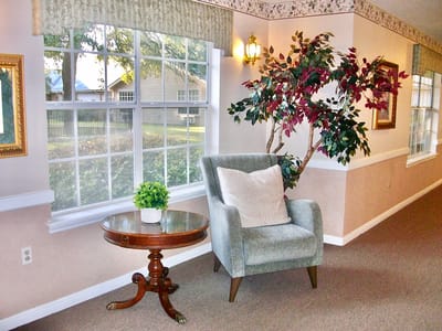Cozy corner in a facility with a chair and a plant