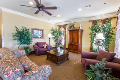 Cozy common area with comfortable seating and greenery