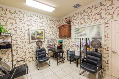 Interior view of a beauty salon with hair dryers