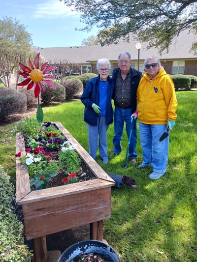 Residents gardening together in a sunny outdoor space