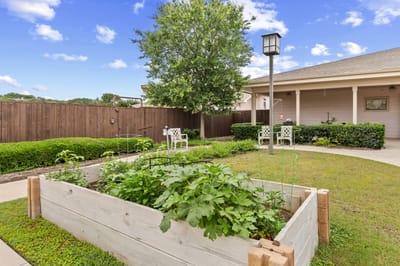 Garden area with raised beds and seating