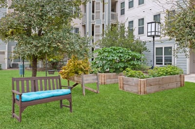 Outdoor space with garden beds and benches
