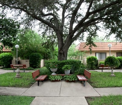 Outdoor seating area with lush greenery and benches