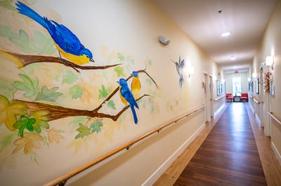 A hallway with vibrant bird mural artwork