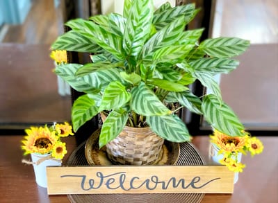 A welcoming indoor plant with a 'Welcome' sign