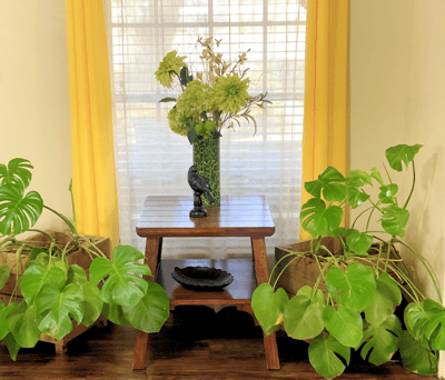 A cozy indoor space featuring plants and a small table