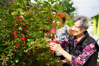Residents enjoying gardening outdoors together