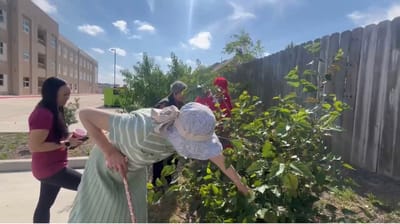 Residents gardening in a bright outdoor space