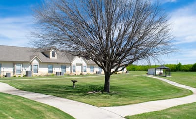 A well-maintained outdoor space with a large tree and pathway