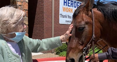 Resident interacting with a horse during an event