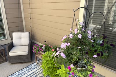 Outdoor seating area with hanging flowers