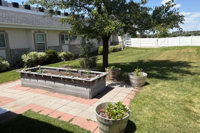 Garden area with planters and well-maintained grass