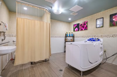 Accessible therapeutic bathing area in a facility