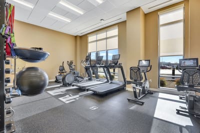 Interior of a gym with exercise equipment