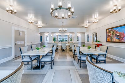 Dining area with tables and chairs in a bright setting