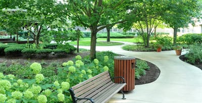 Pathway in a landscaped garden with benches