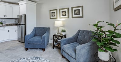 Cozy interior seating area with blue chairs