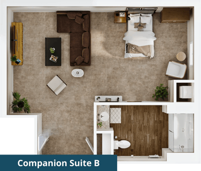 Aerial view of a companion suite layout