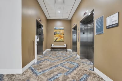 Interior corridor with elevators and artwork