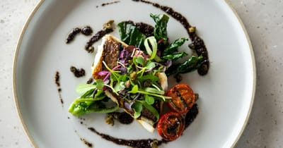 Artfully plated dish with vegetables and fish